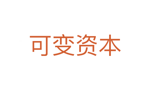 可变资本