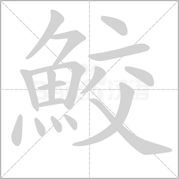 鮫的笔顺动画演示